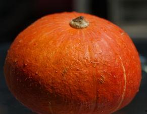 吃瓜七七,网络红人的崛起与影响力