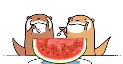 吃瓜客融资,揭秘网络红人背后的商业帝国