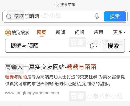 普华永道 吃瓜,揭秘“吃瓜”现象背后的经济与文化影响